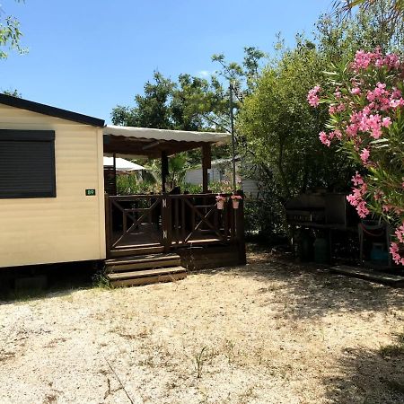 Hotel Comping Le Clos Du Thym Argelès-sur-Mer Zewnętrze zdjęcie